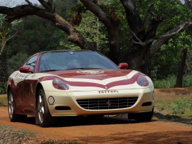 Ferrari india nature (click to view)