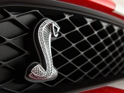 ford shelby gt500 logo