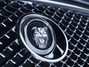 Jaguar xf 2009 logo